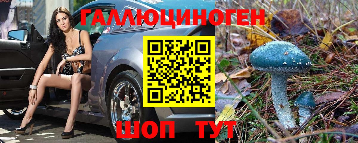Псилоцибиновые грибы прущие грибы Можга