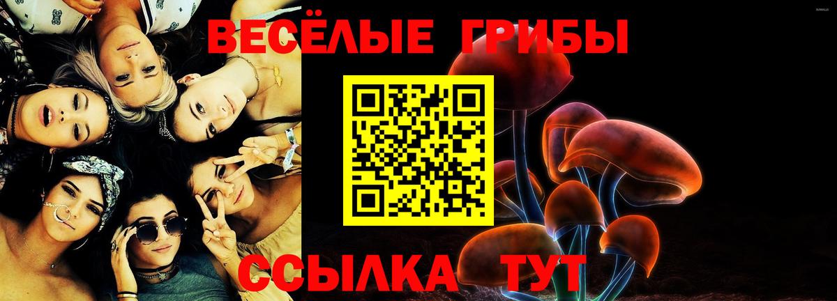 Можга  Галлюциногенные грибы MAGIC MUSHROOMS  где можно купить   Вход с VPN  Галлюциногенные грибы Psilocybe 